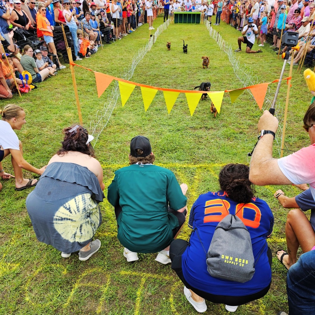 weiner dog race-min